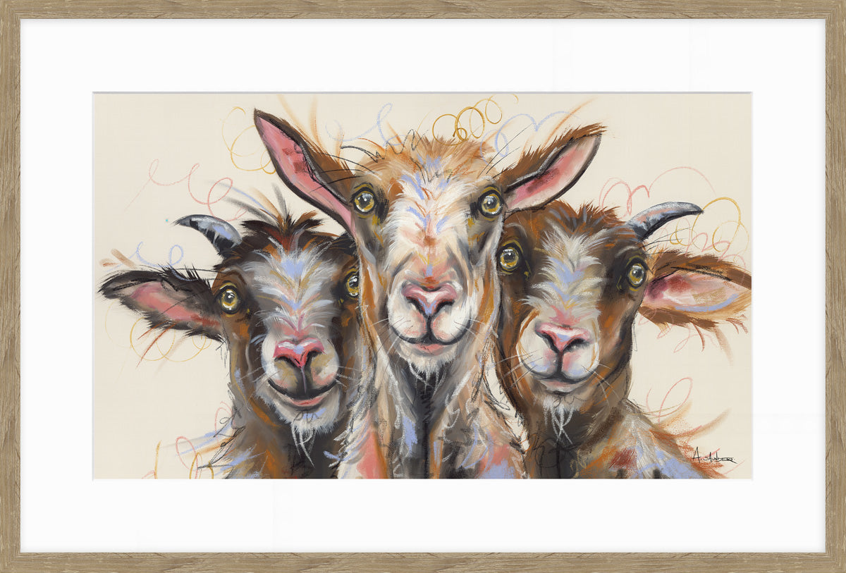 Artko 62cm 'Silly Billys' Framed Print by Ashley Saunders - AK12572