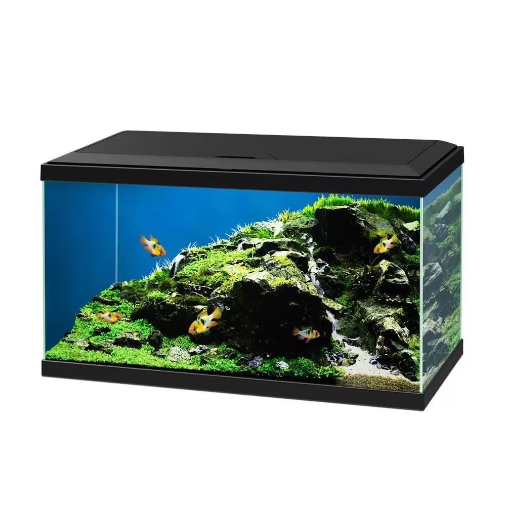 Ciano 60cm Black LED Aquarium