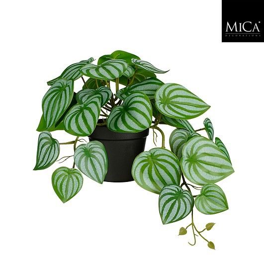 Mica Decorations 40cm Green Artificial Peperomia Hanging Pot