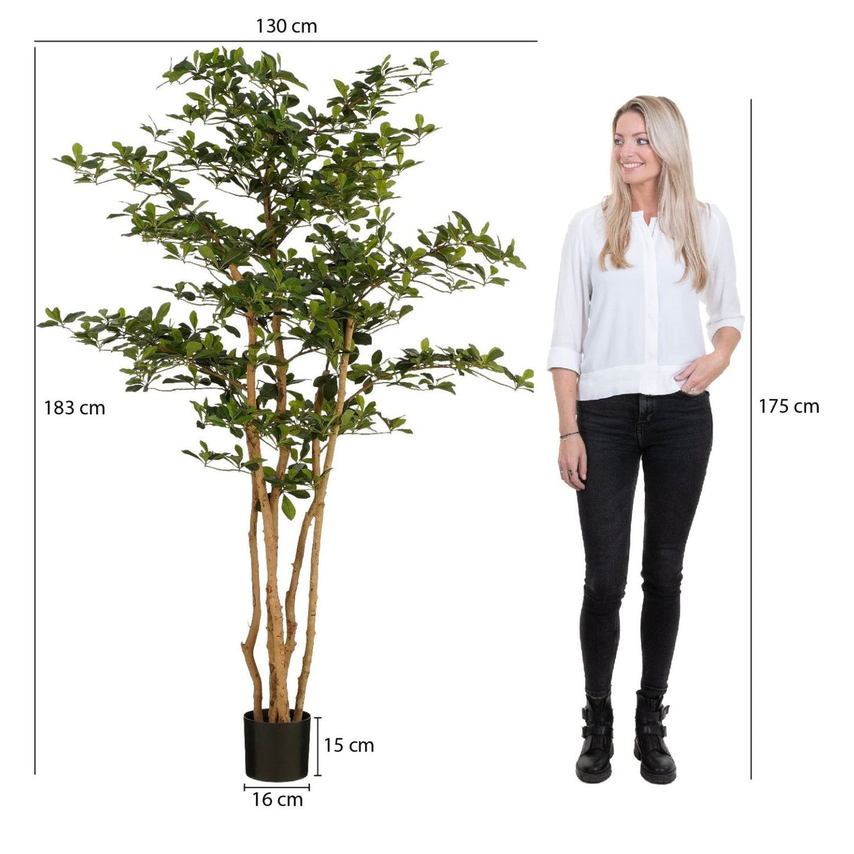 Mica Decorations 183cm Artificial Oriental Olive Tree in Pot