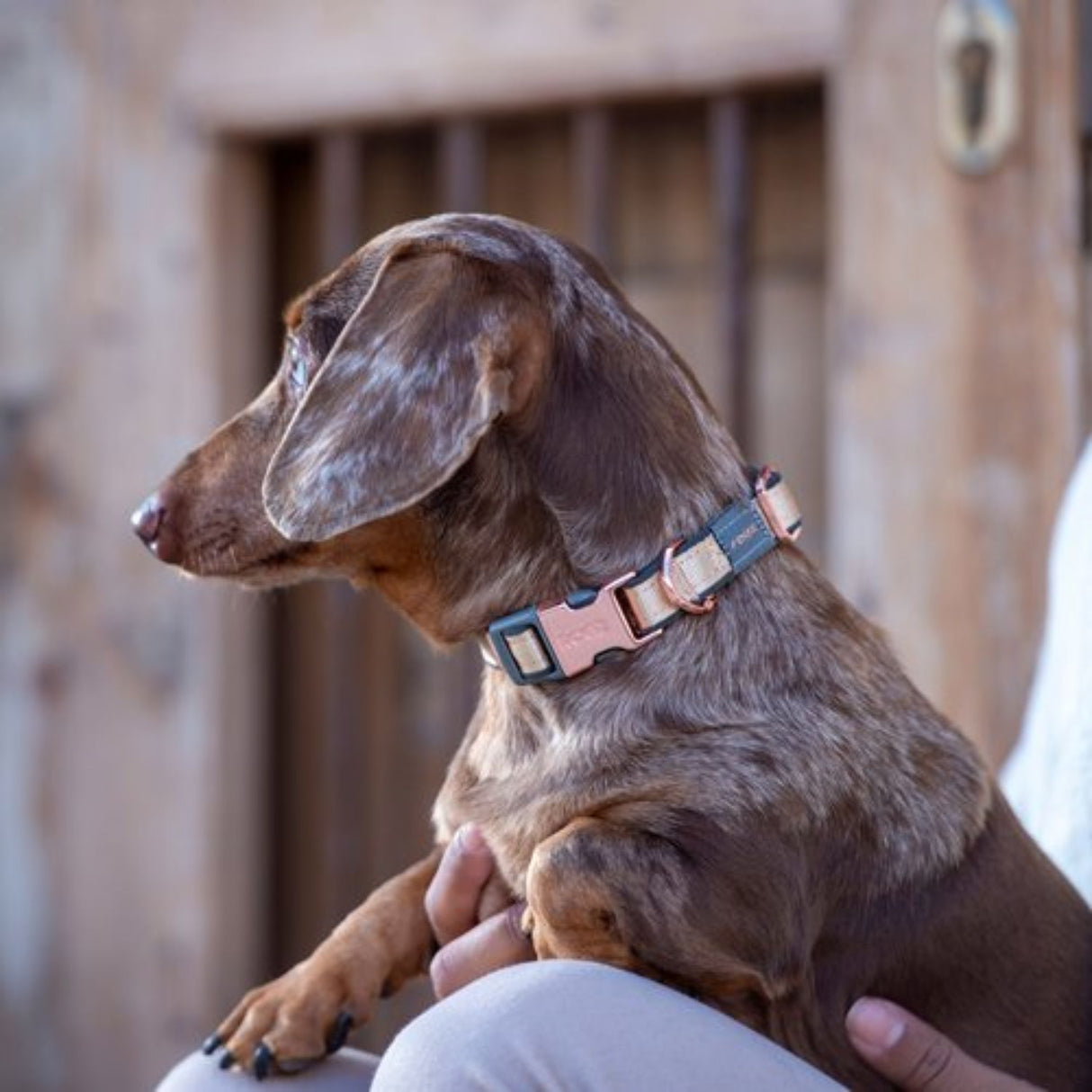 Rogz Urban Classic Collar Pink - X - Small