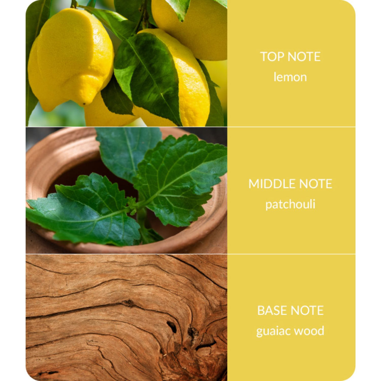 Bamboo 80g Patchouli & Guaiac Wood Small Jar Candle