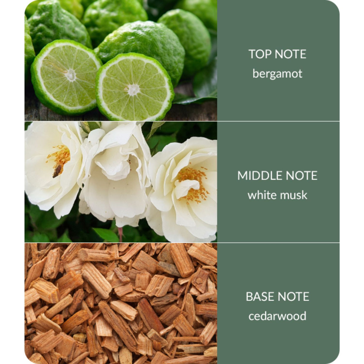 History & Heraldry Bamboo 70ml Cedarwood & White Musk Reed Diffuser