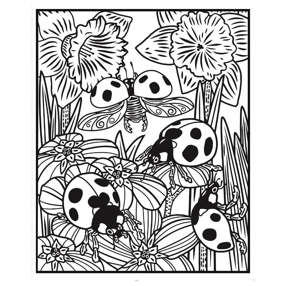 Usborne Bugs Magic Painting Activity Book by Abigail Wheatley