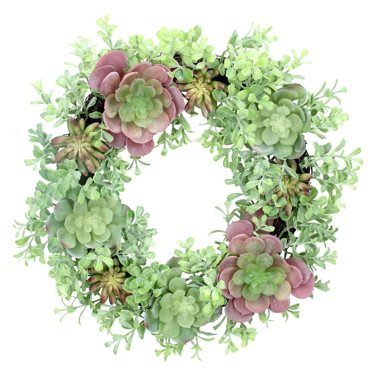 Gisela Graham Mixed Succulent Wreath