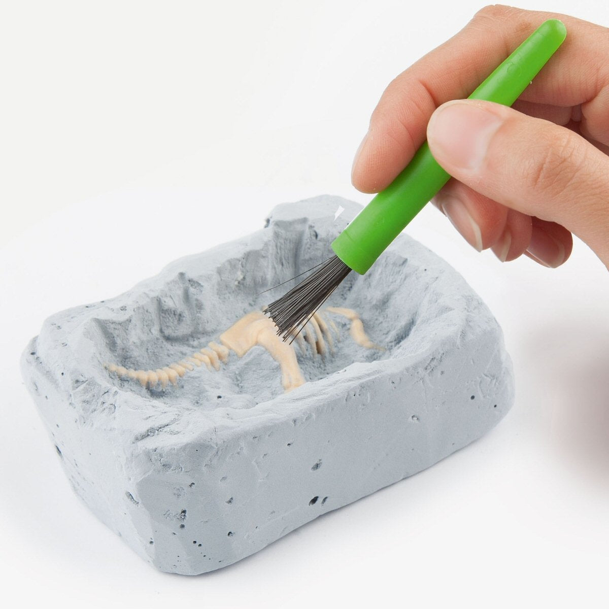 Depesche Dino World Small Explorer Set