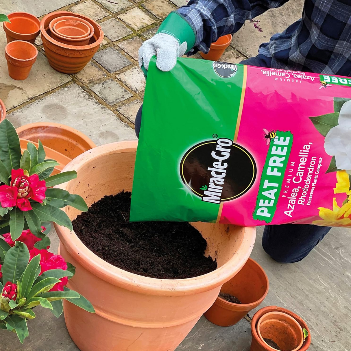 MiracleGro Ericaceous Peat Free Compost 40L - 2 FOR £15