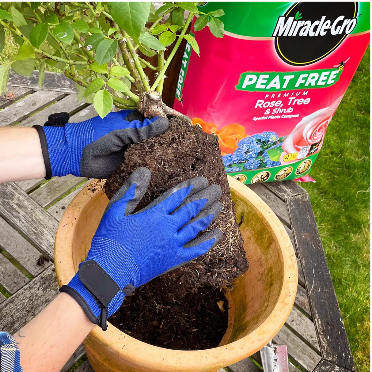 Miracle-Gro Peat Free Rose, Tree & Shrub Compost 40L - 2 FOR £15