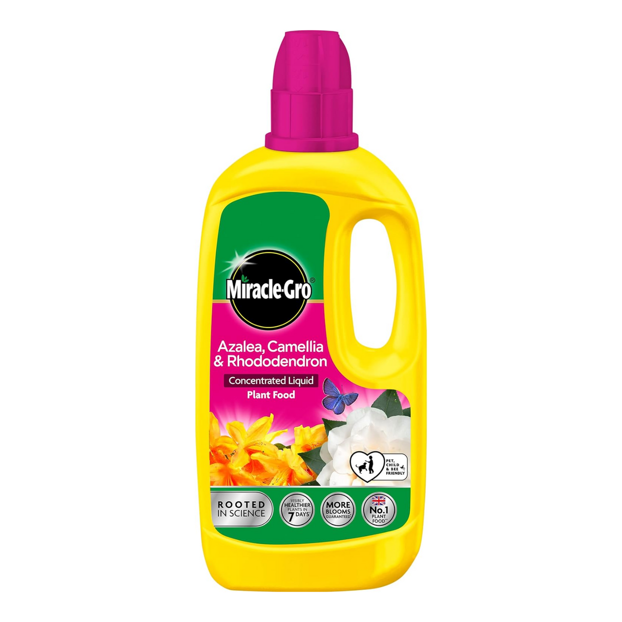 Miracle-Gro Azelia, Camellia & Rhododendron Concentrated Plant Food 800ml