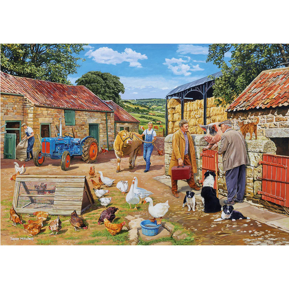 Gibsons Games 4 x 500 Piece Call The Vet Jigsaw Puzzles