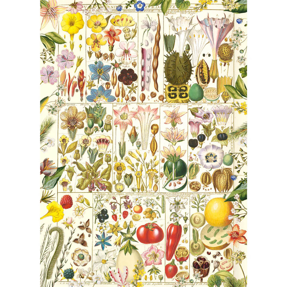 Gibsons Games 1000 Piece RHS Botanical Bliss Jigsaw Puzzle