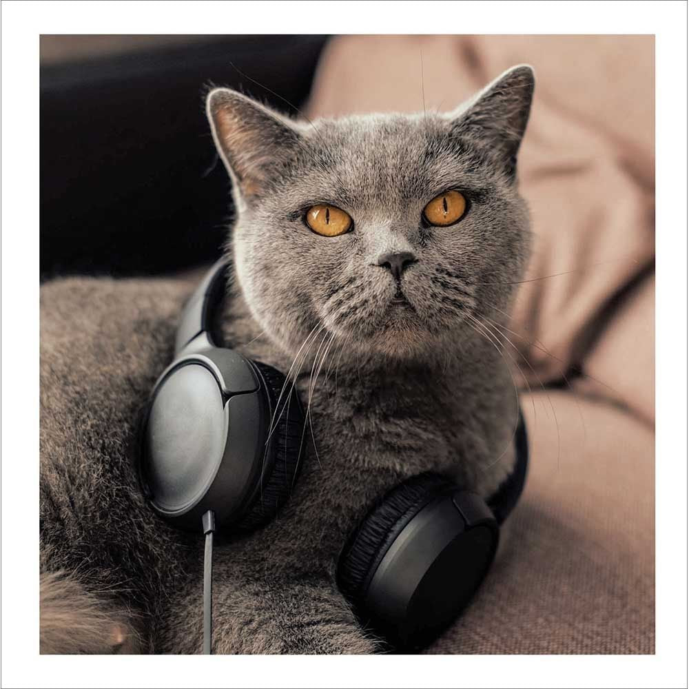 Woodmansterne Cat with Headphones Blank Card
