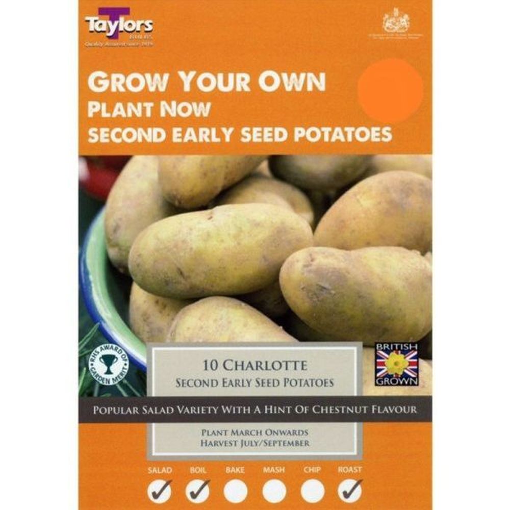 Taylors 10 Charlotte Second Early Seed Potatoes