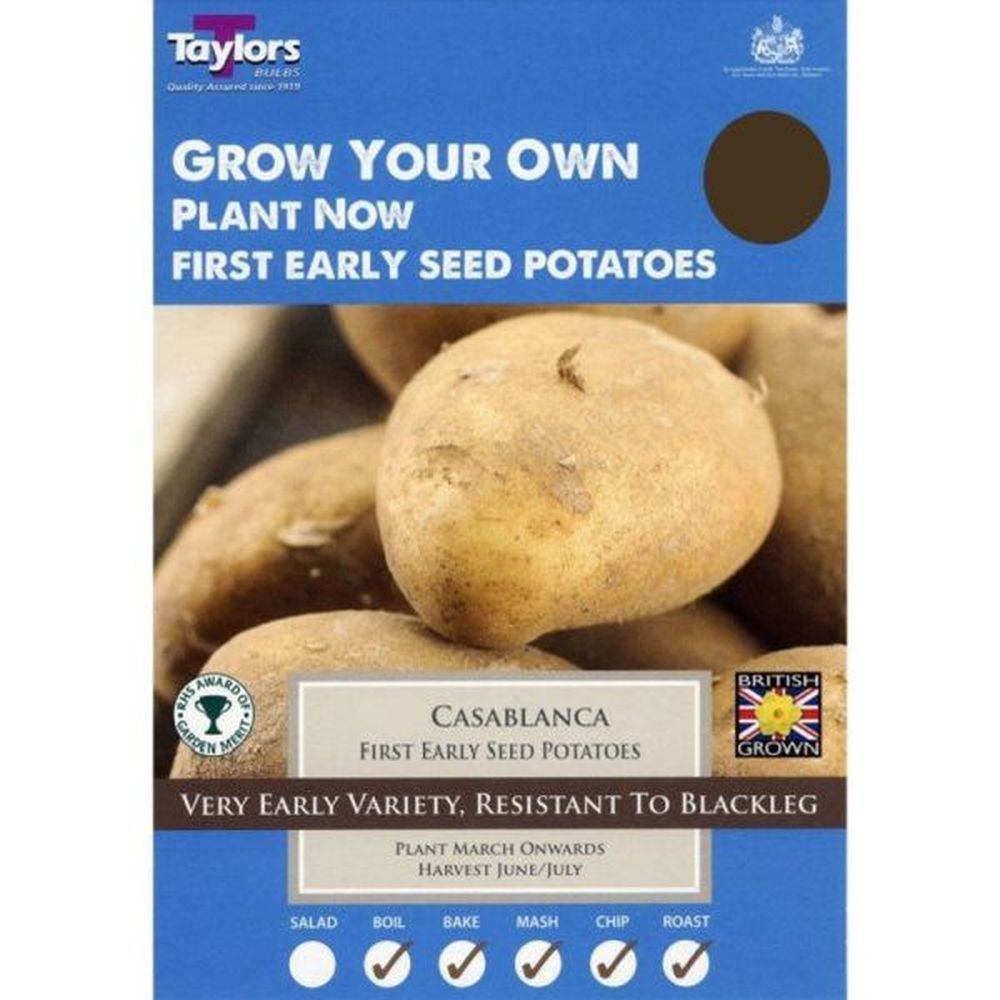 Taylors 10 Casablanca First Early Seed Potatoes