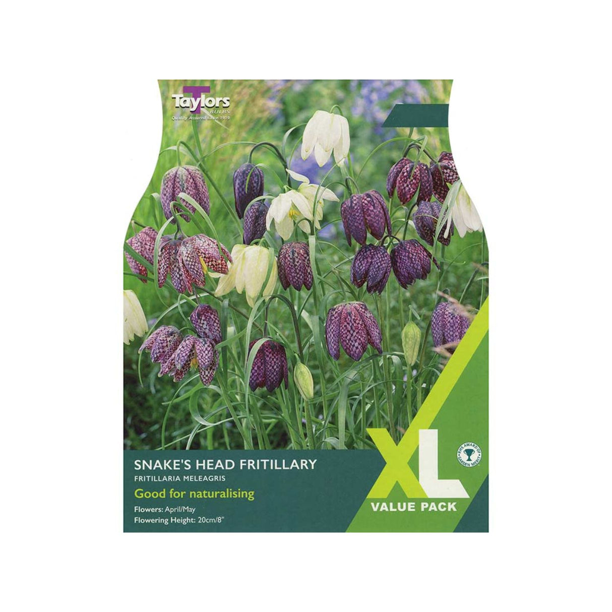 Taylors 25 Snake's Head Fritillary Meleagris Bulbs