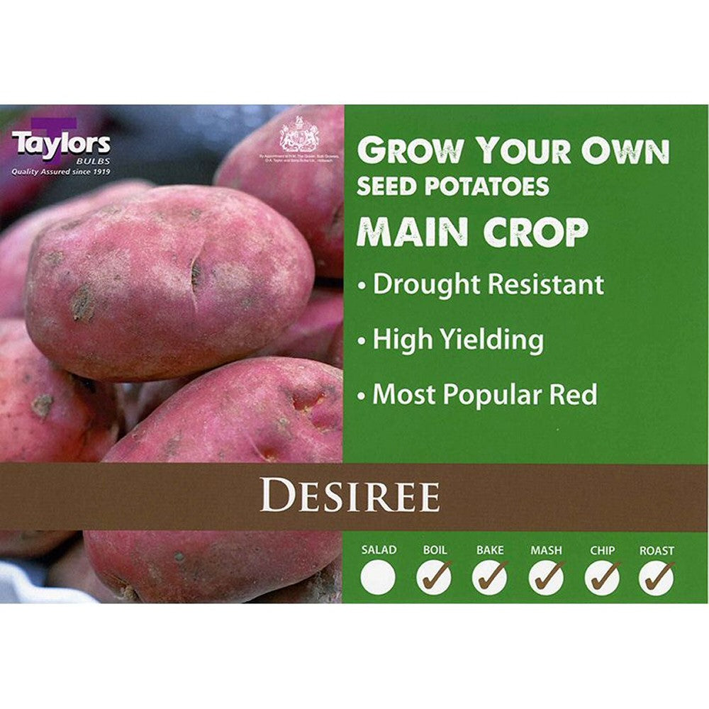 Taylors 2kg Desiree Main Crop Seed Potatoes
