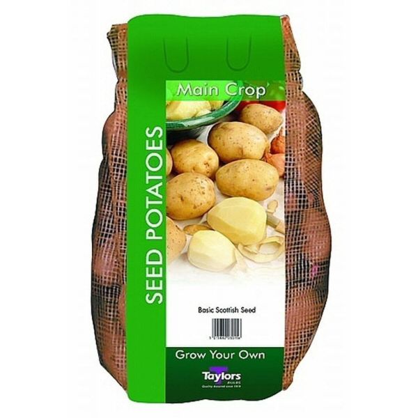 Taylors 2kg Maris Piper Main Crop Seed Potatoes