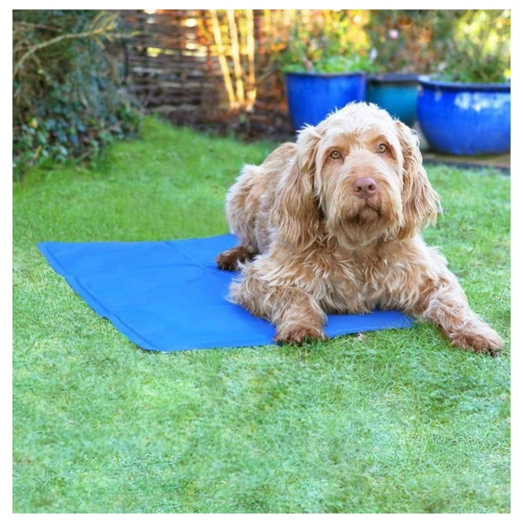 Ancol Large Cooling Dog Mat