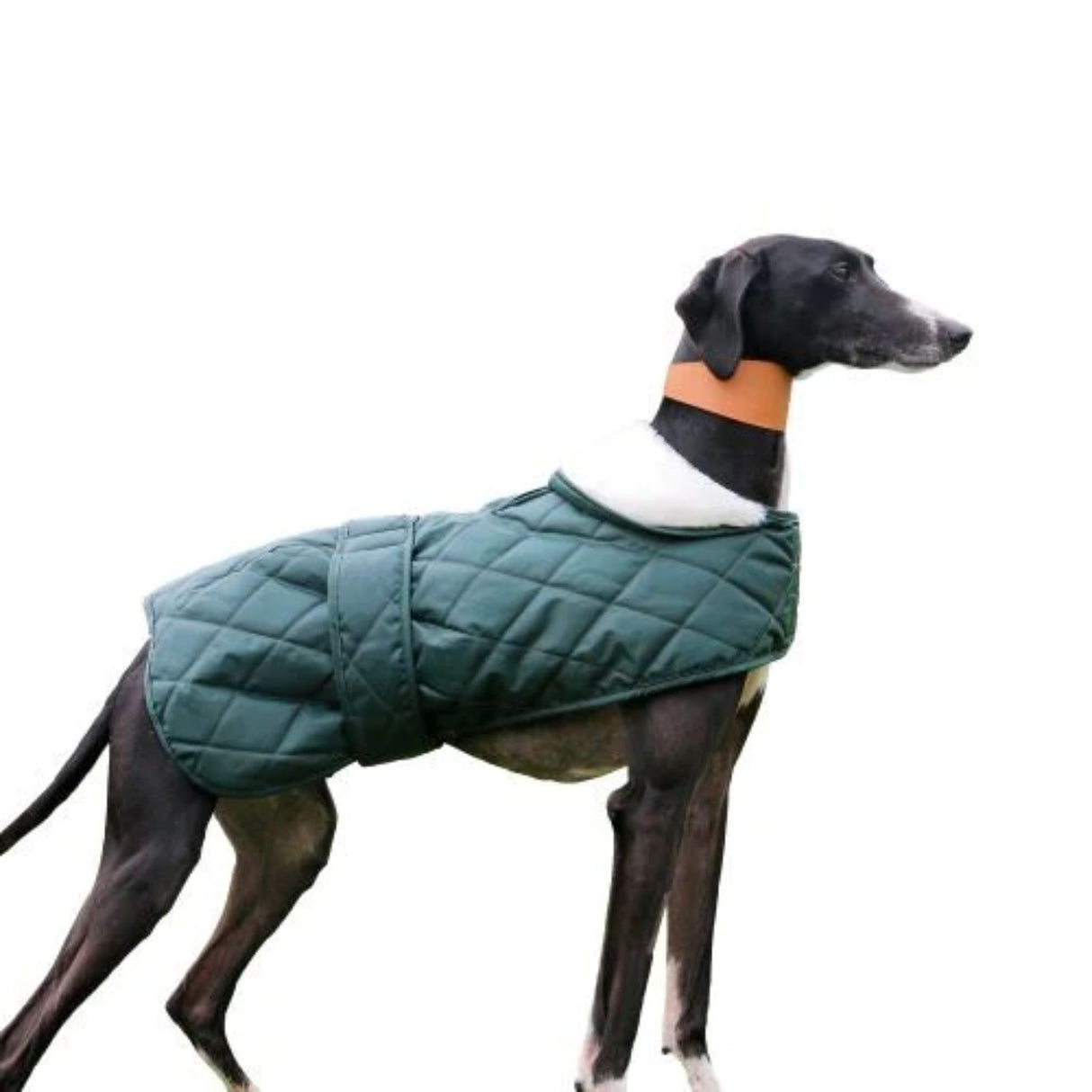 Ancol 70cm Quilted Hound Coat
