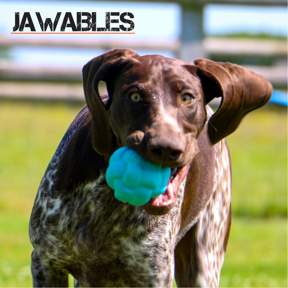 Ancol Jawables Tough Knot Ball Dog Toy