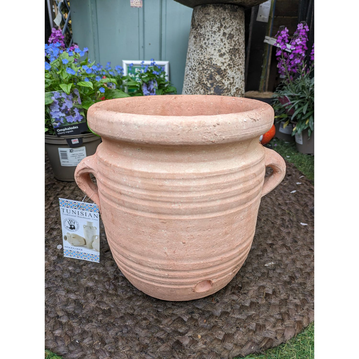 Woodlodge Tunis 20cm With Handles Pot