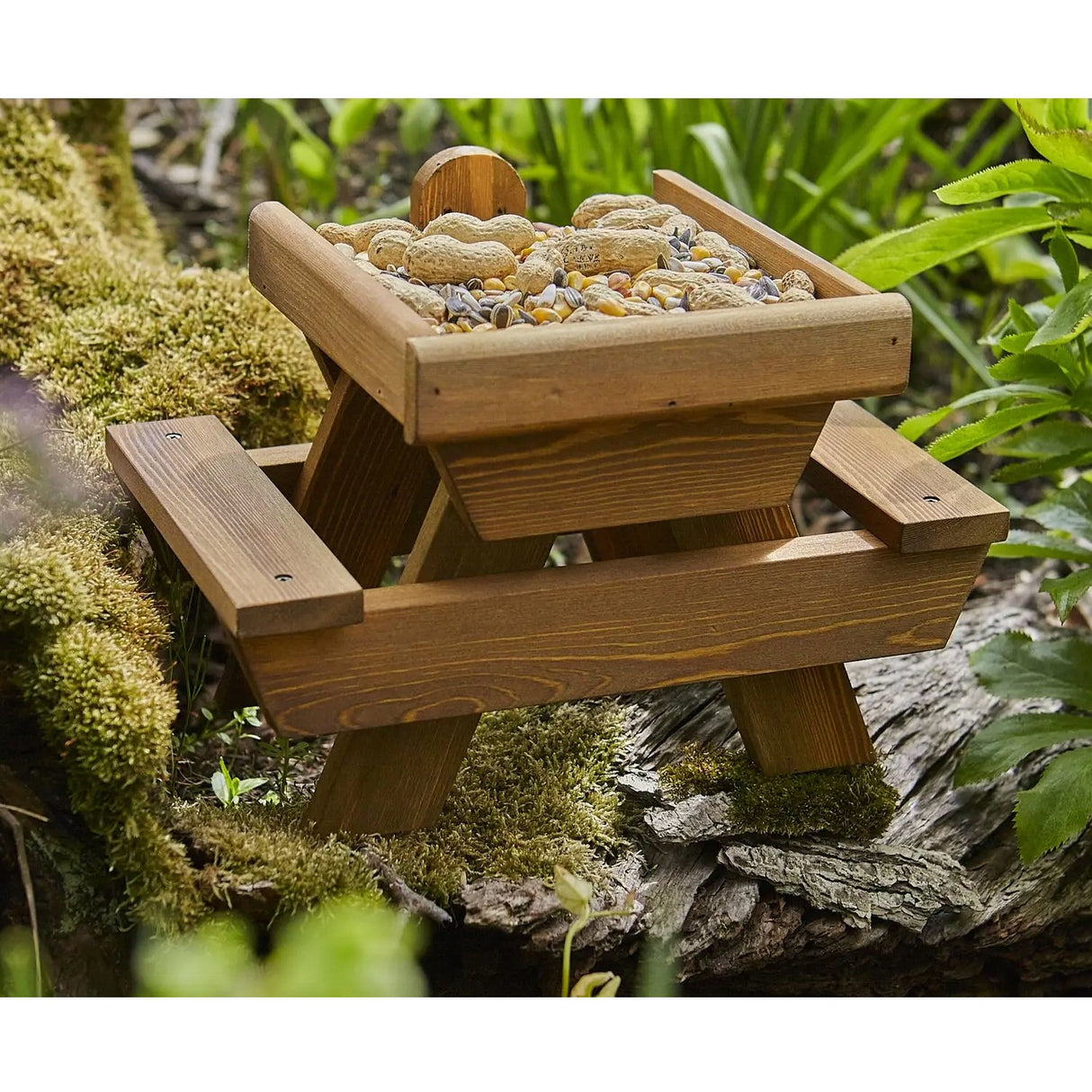 Tom Chambers 29cm Squirrel Picnic Place