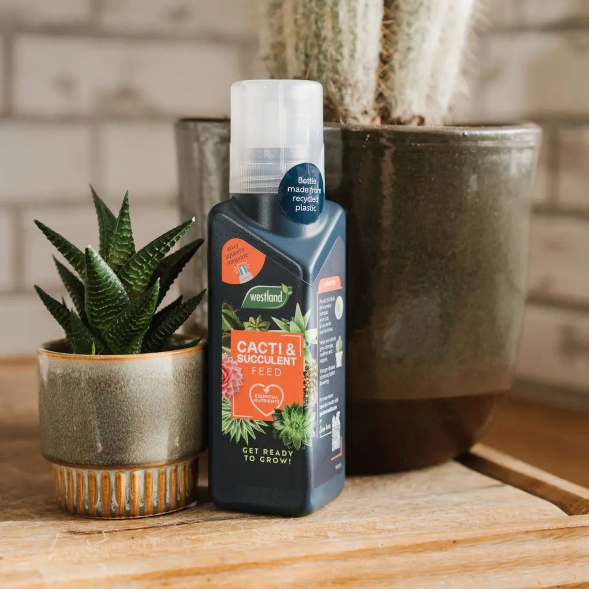 Westland 200ml Cacti & Succulent Feed Concentrate