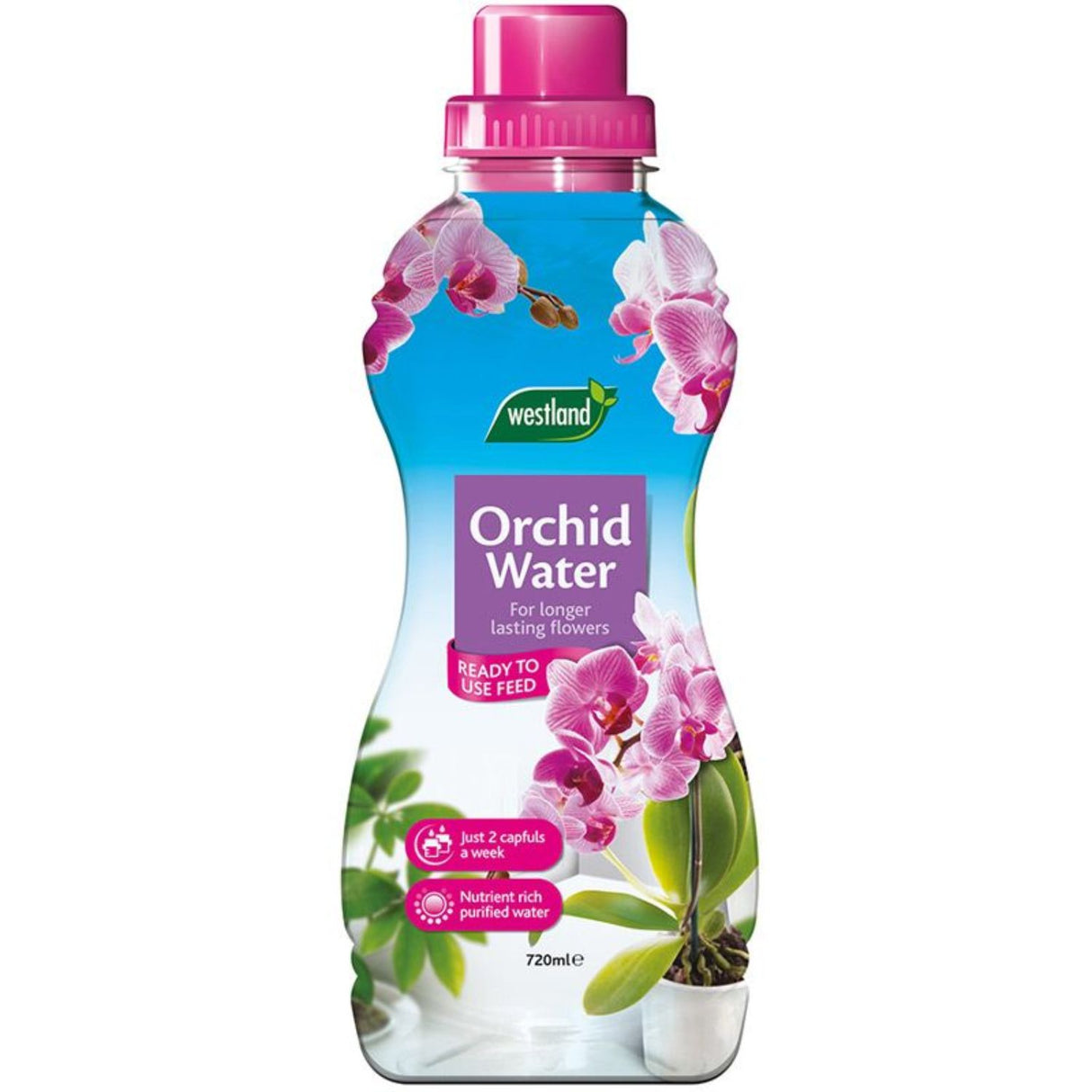 Westland 720ml Orchid Water