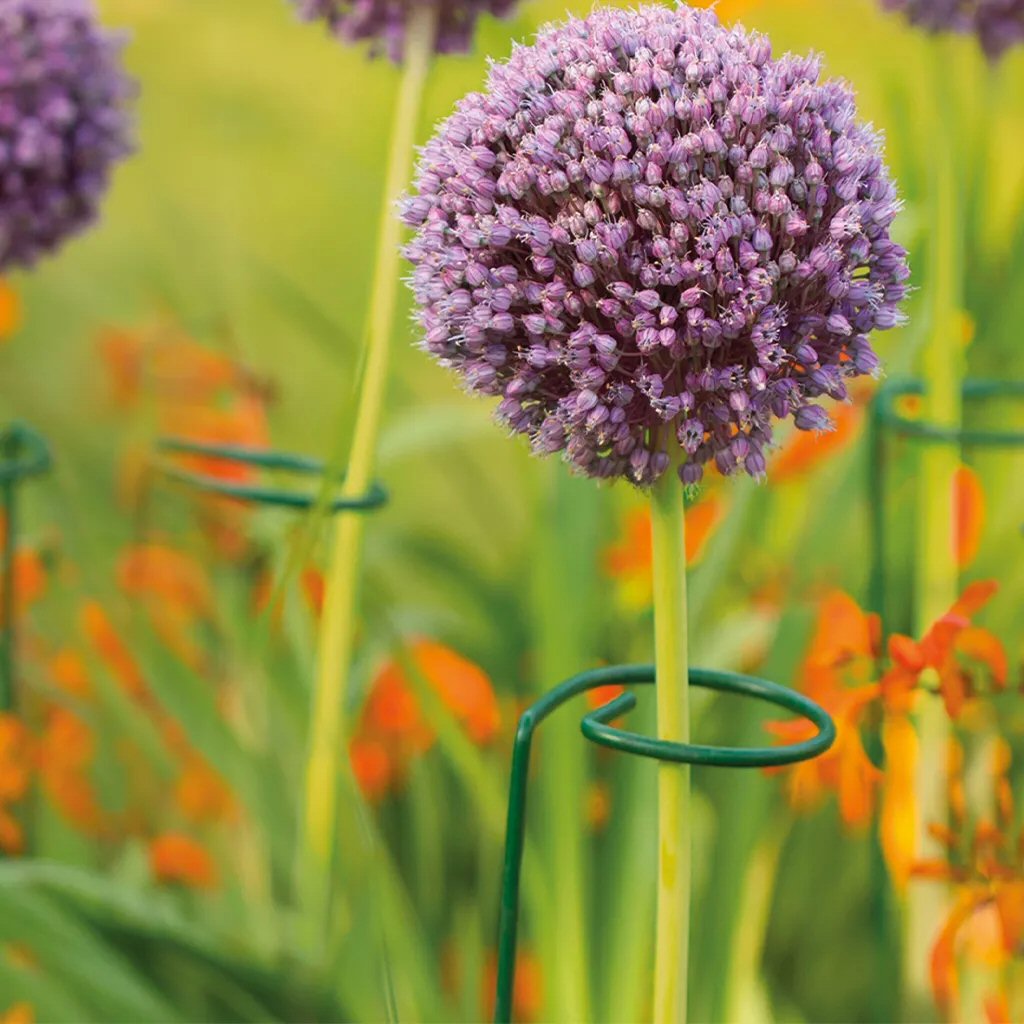 Gardman 1m Single Stem Plant Supports (Pack of 3)