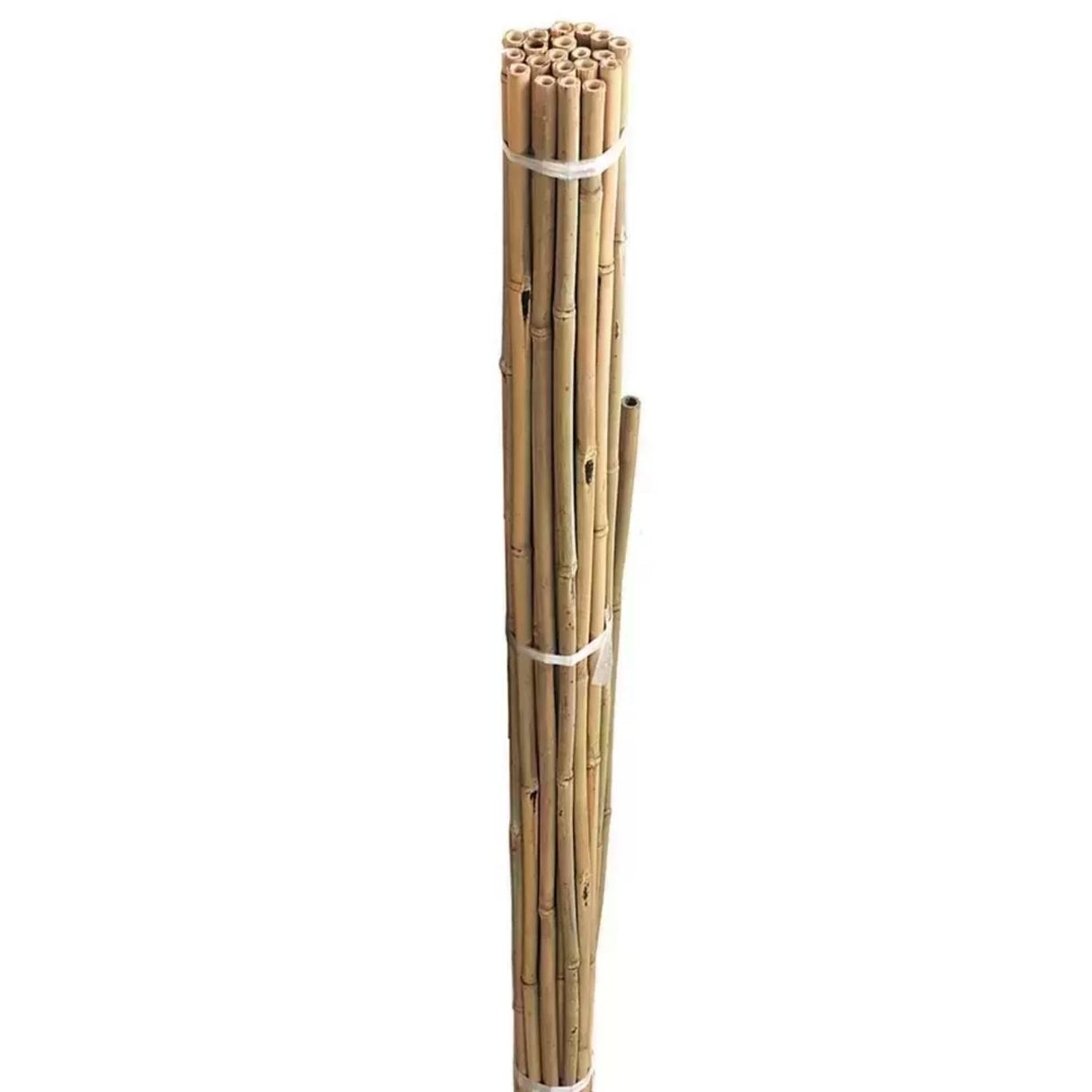 Gardman 90cm Bamboo Plant Support Canes (Pack of 20)