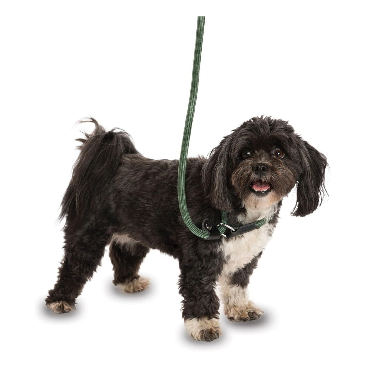 Company of Animals Training 3-in-1 Slip Lead Black