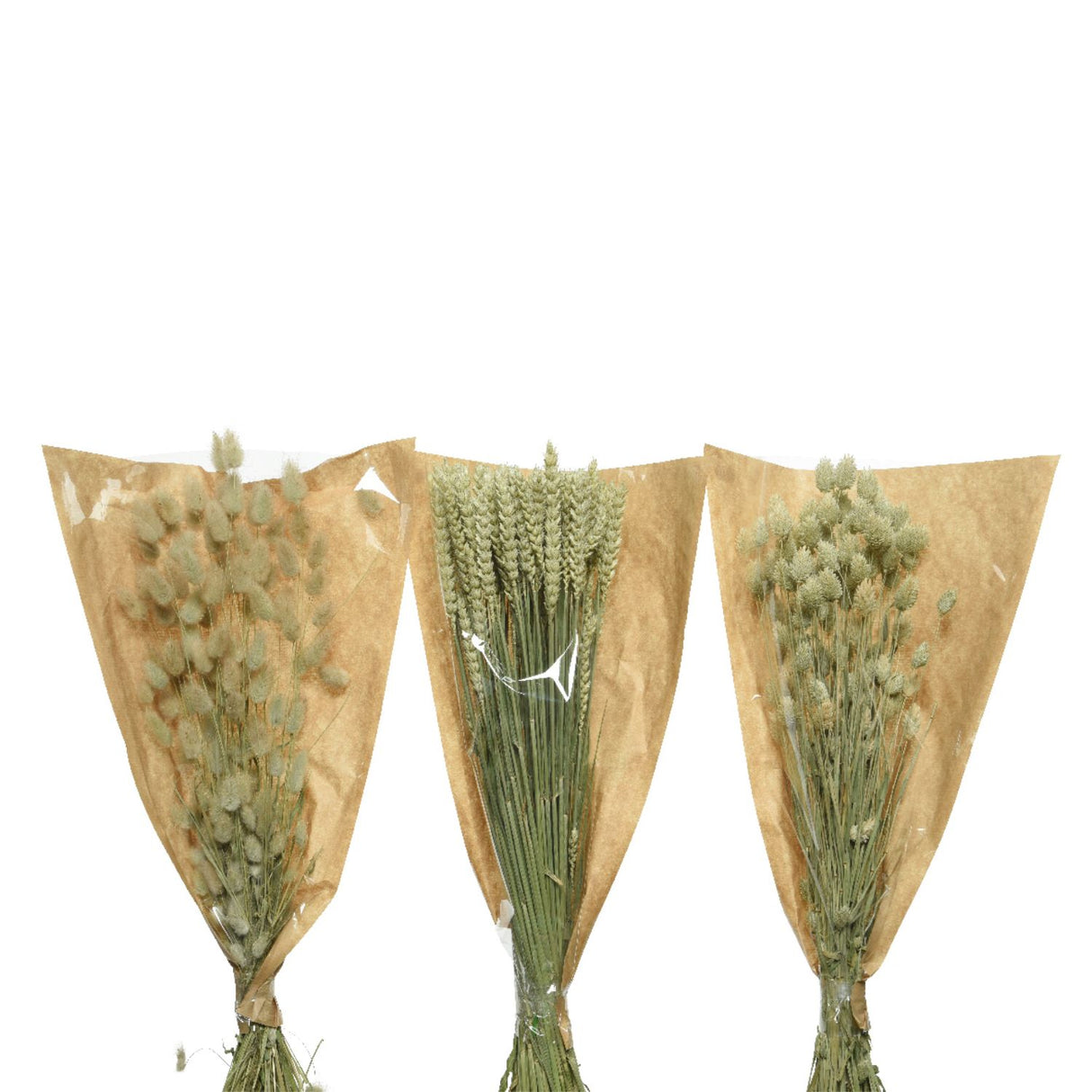 Kaemingk 50cm Dried Tarwe Artificial Flowers (Choice of 3)