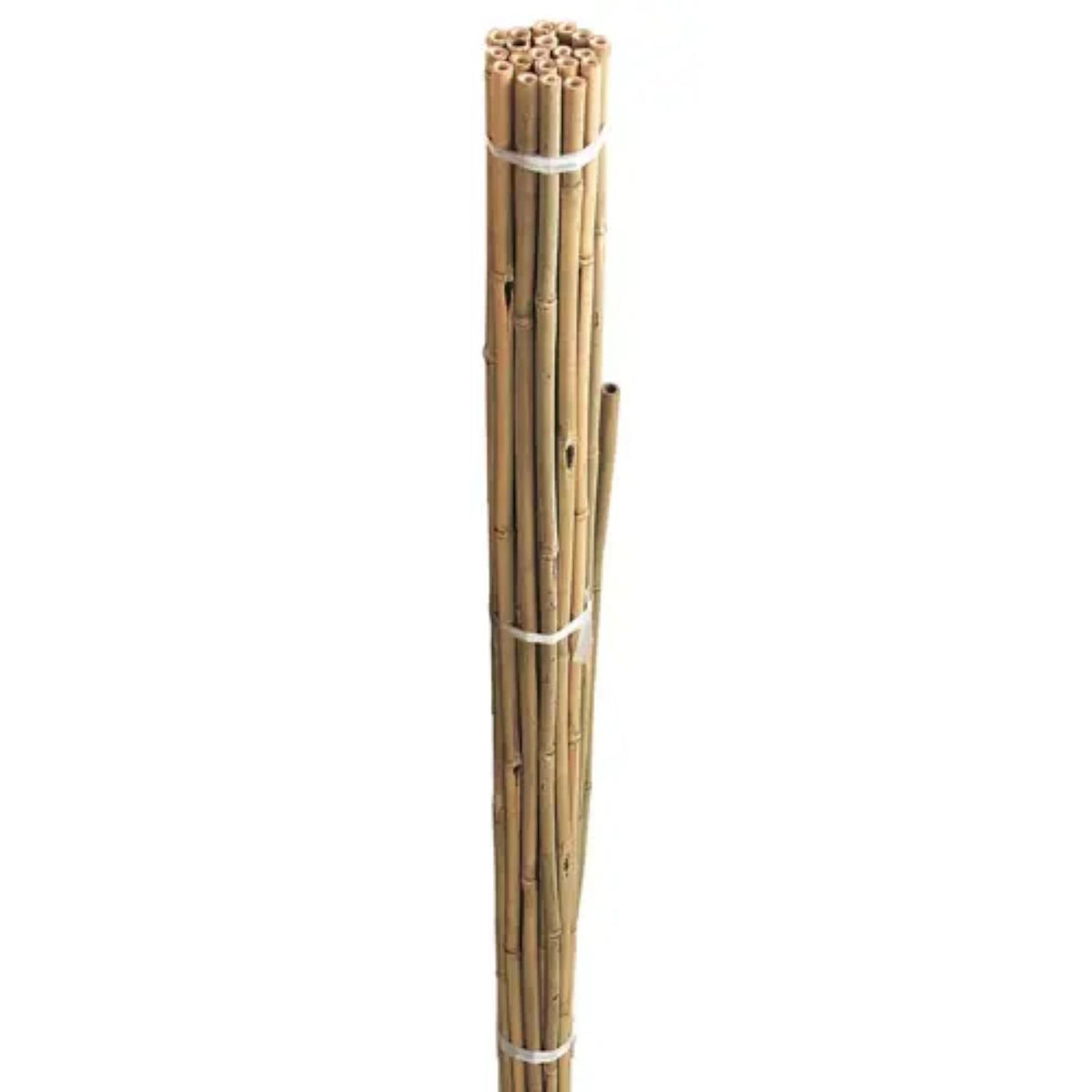 Gardman 1.8m Bamboo Plant Support Canes (Pack of 10)
