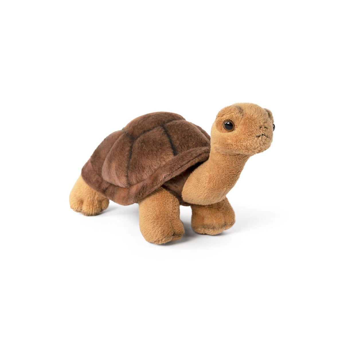 Keycraft Nature Tortoise Plush