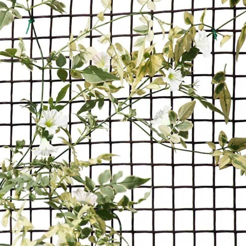 Smart Garden 20mm Green Climbing Plant & Fencing Mesh (0.5m x 5m)