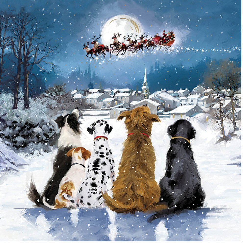 Woodmansterne Christmas Magic Cards - Pack of 10