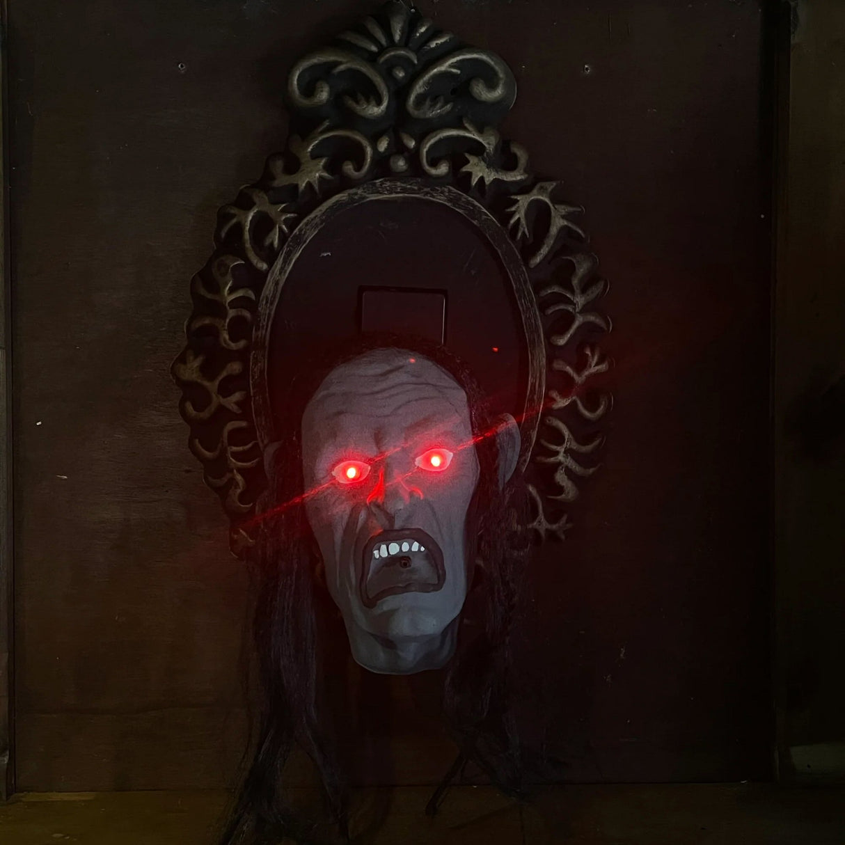 Premier 57cm Haunted Cameo With Sensor