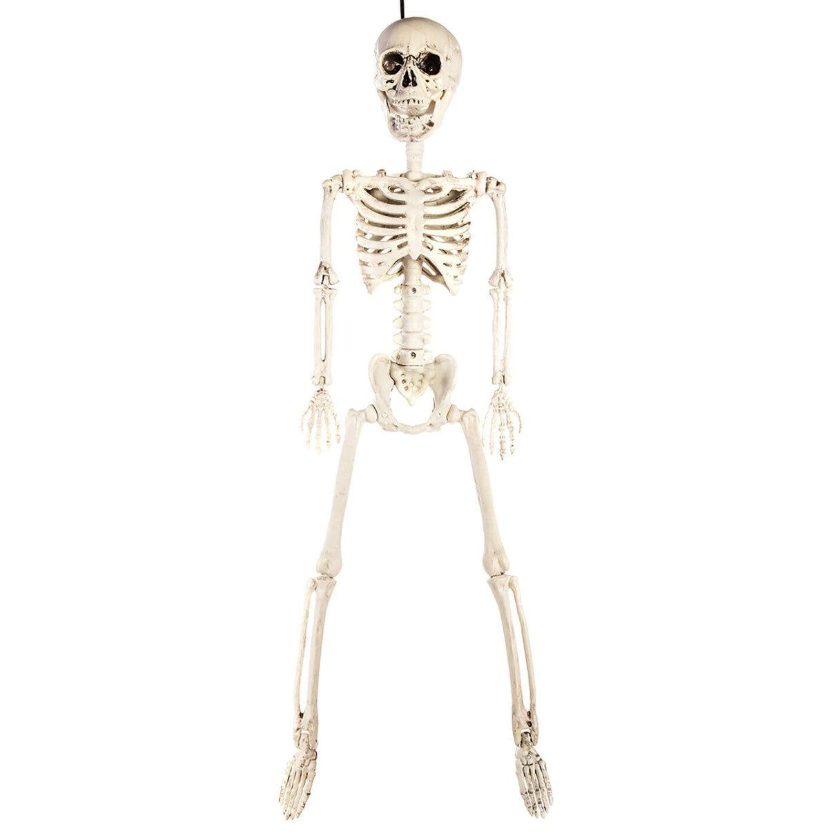 Premier 60cm Hanging Posable Skeleton