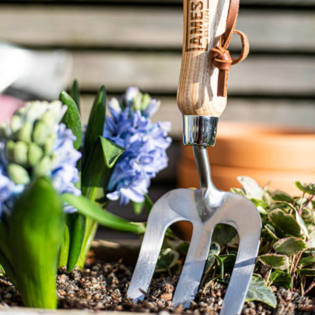AMES 27cm Stainless Steel Hand Fork