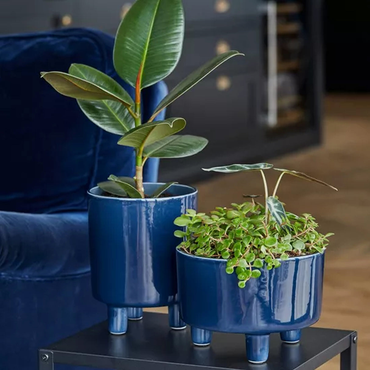 Ivyline 19cm Navy Blue Pisa Glazed Planter