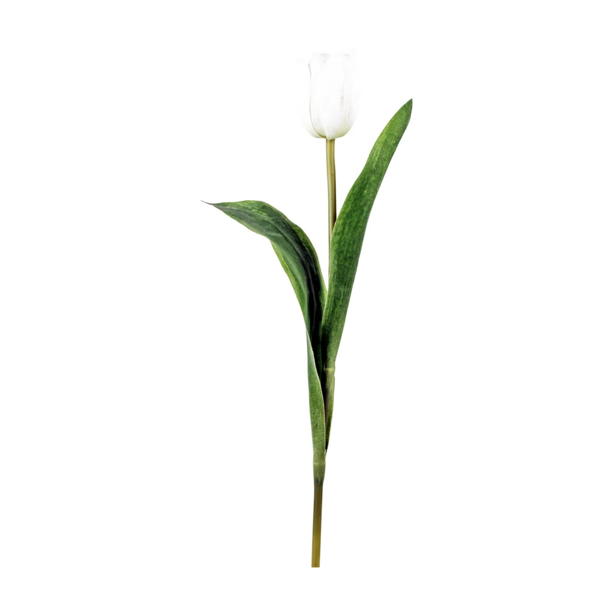 Grand Illusions Artificial White Tulip Flowers