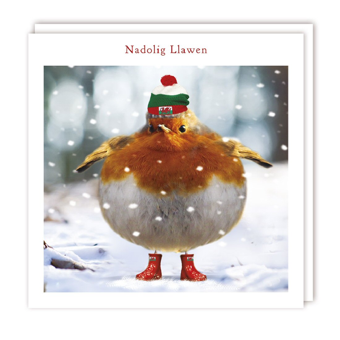 Tracks Publishing Welsh Xmas Robin with Hat Christmas Cards - Pack of 5