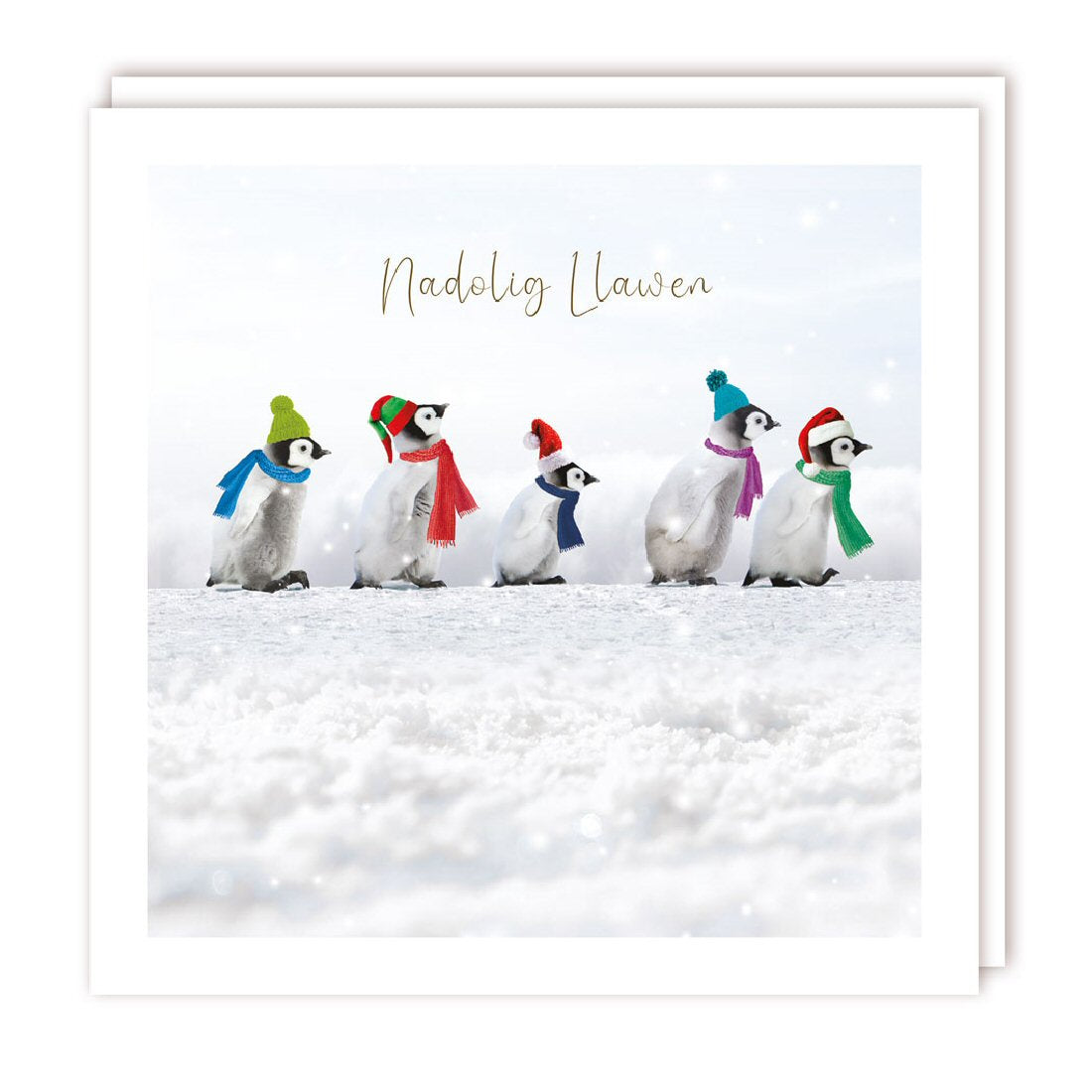 Welsh Xmas Follow The Leader Christmas Cards - Pack of 5