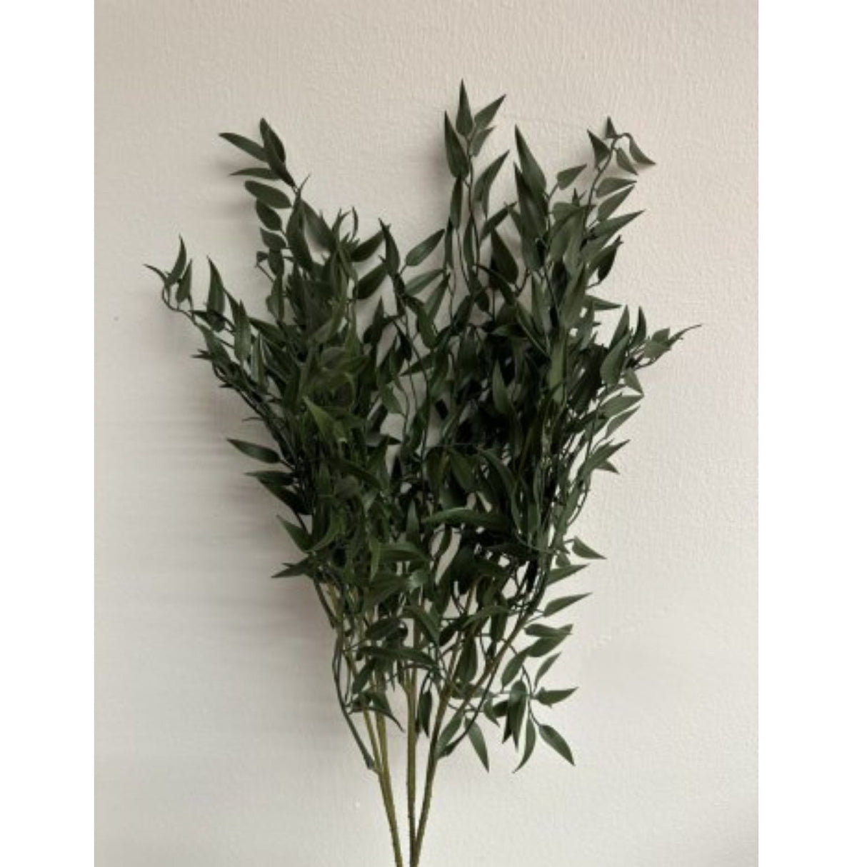 Sincere Floral 50cm Ruscus Bush