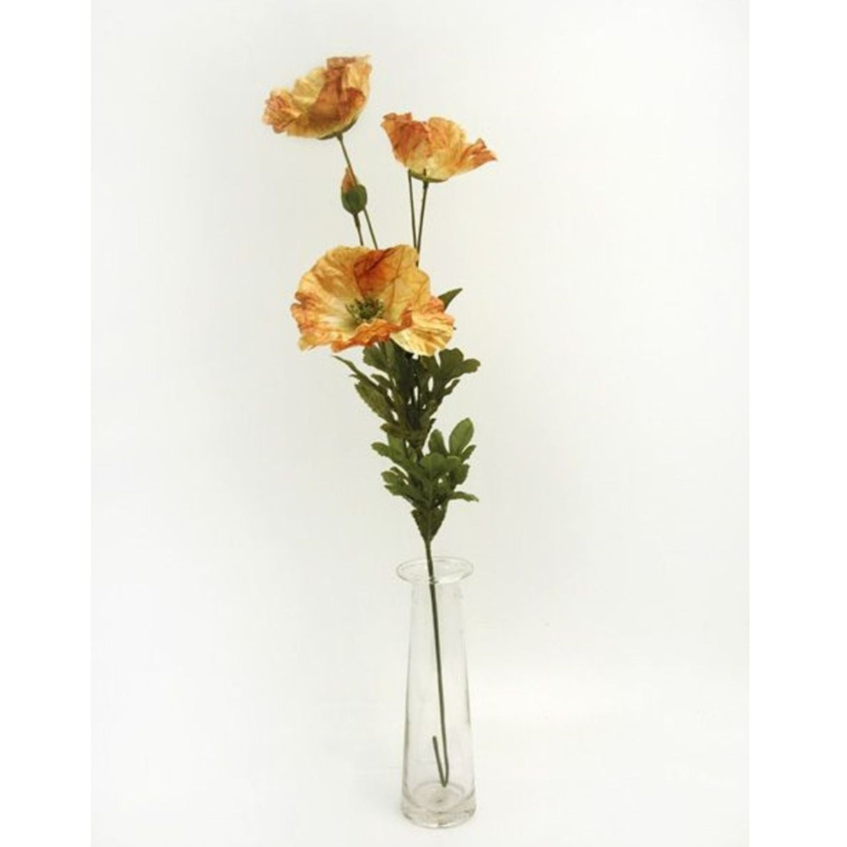 CB Imports 73cm Brown Amber Poppy Stem