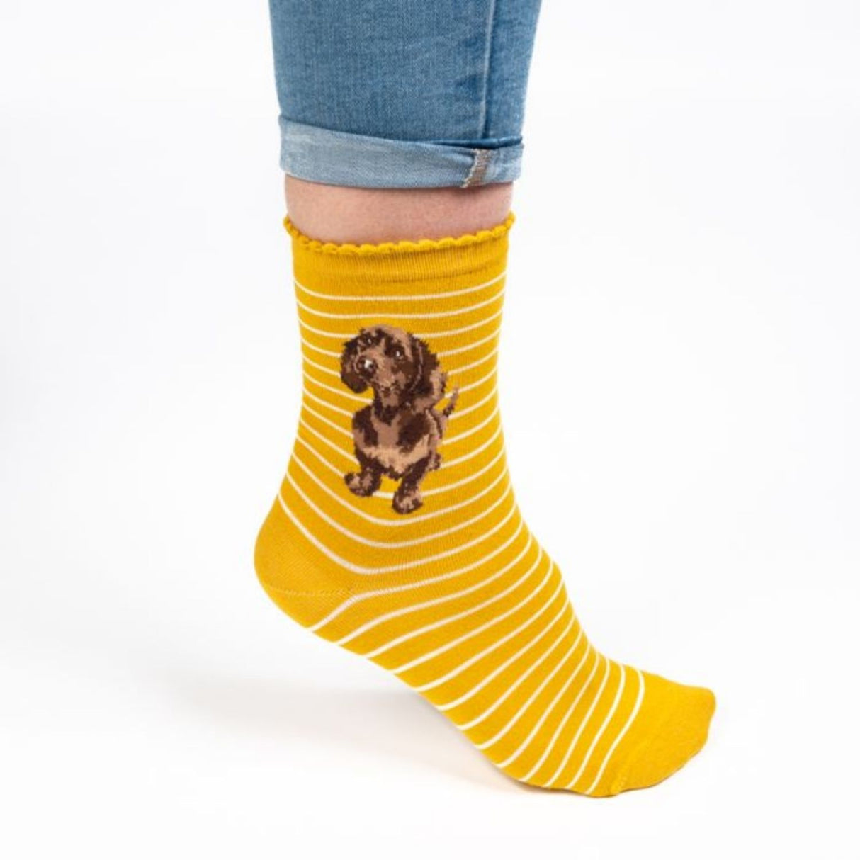 Wrendale 4-7 Little One Dachshund Socks