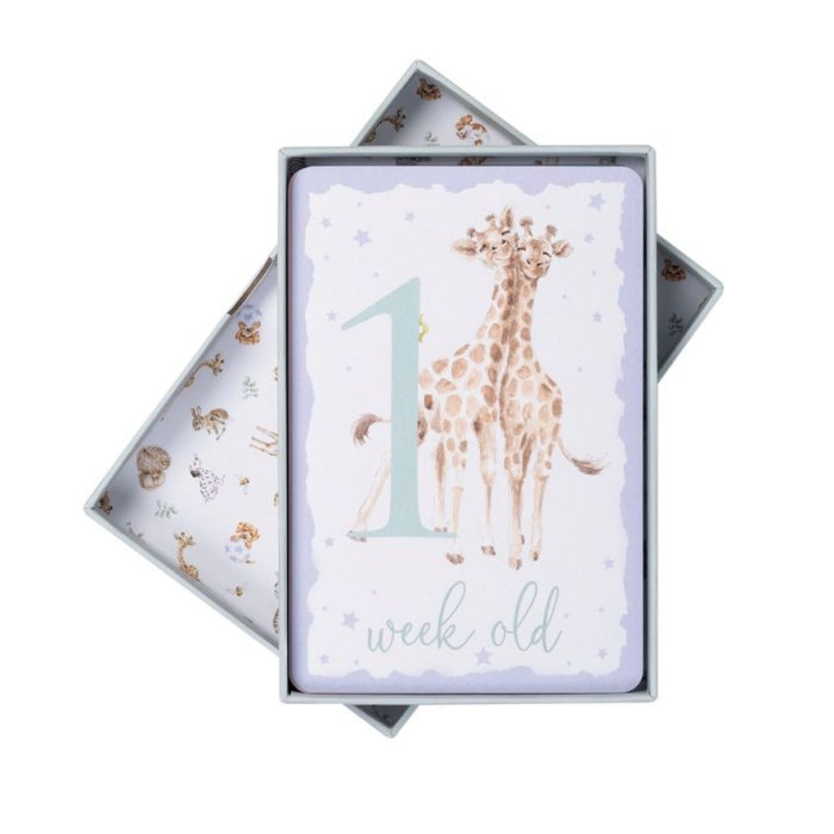 Wrendale Baby Animal Milestone Card Pack