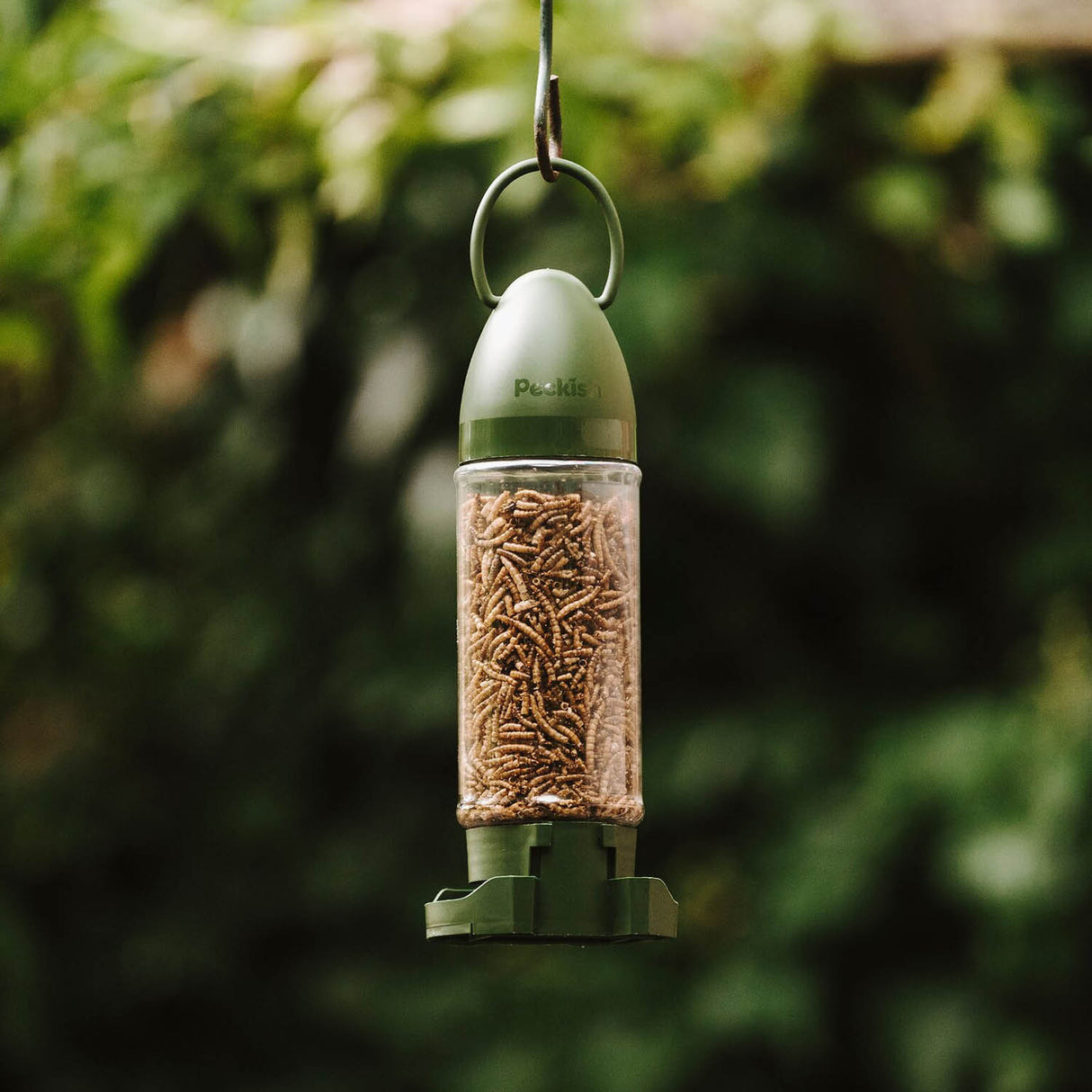Peckish Mealworms Wild Bird Filled Feeder