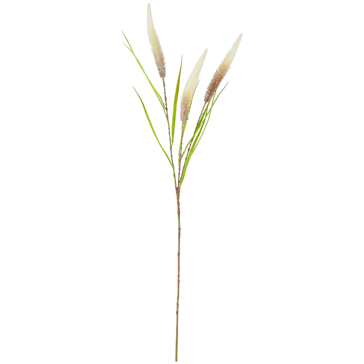 Eleganza 100cm Reed Spray - Brown/Green