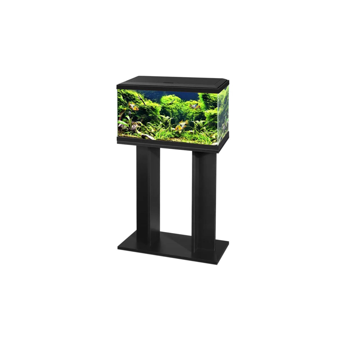Ciano Black Aqua 60 LED Aquarium
